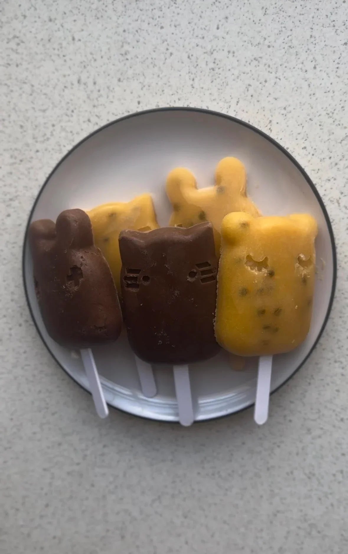 Chocolate and Tropical Broth Pops