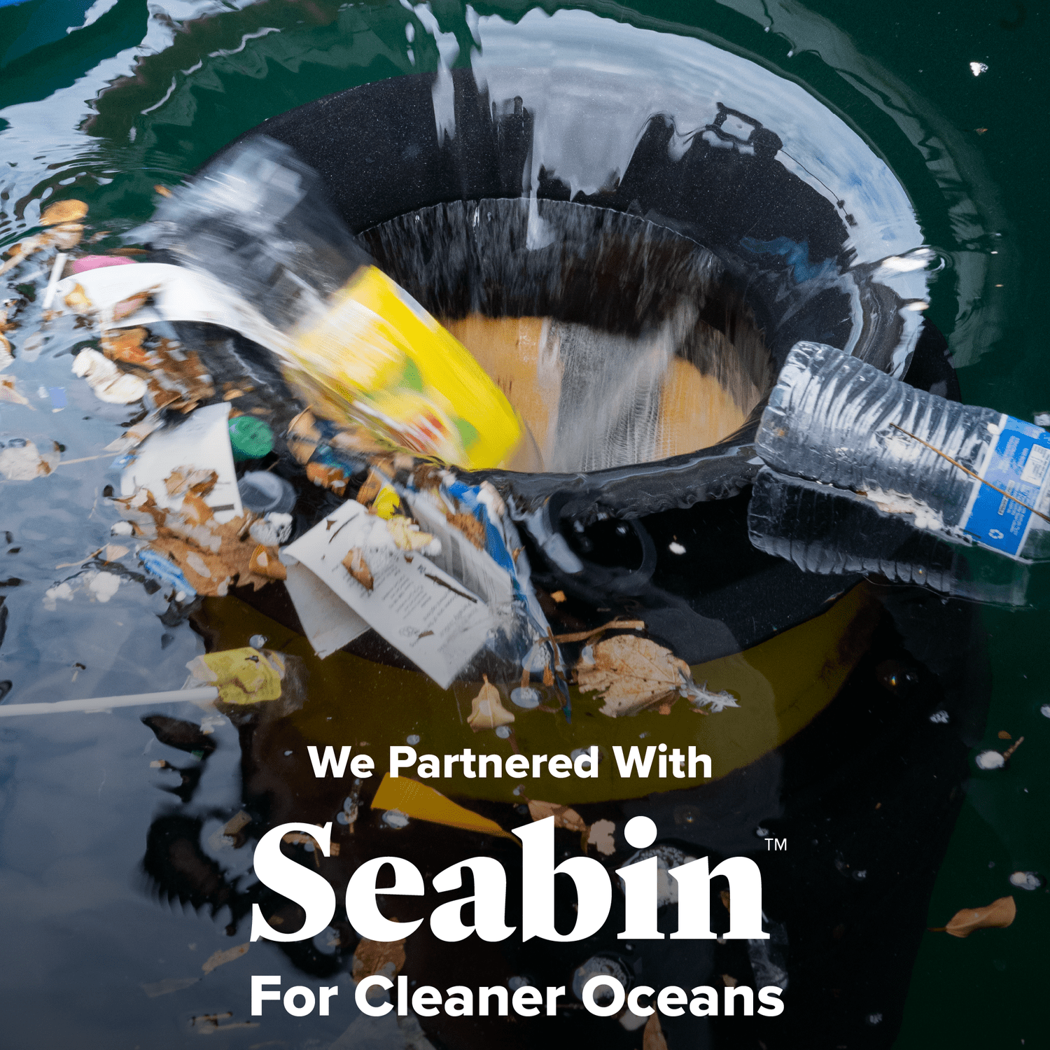 Undivided Food Co. Seabin impact partner figures for 2025